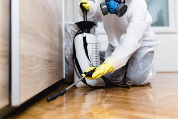Best Local Pest Control Services  in Glendale, AZ
