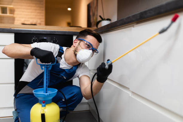 Best Cockroach Control Services  in Glendale, AZ