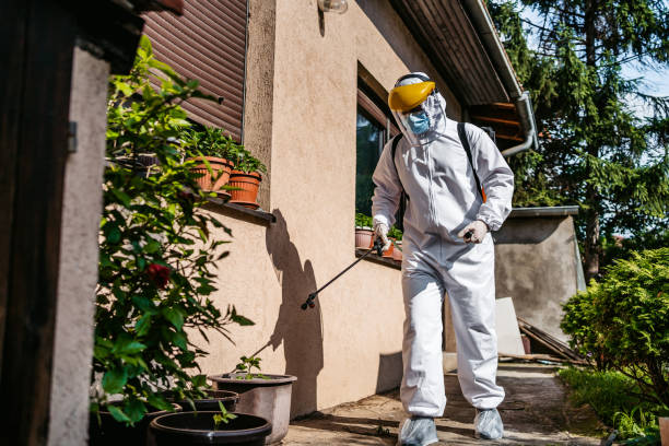 Insect Control in Glendale, AZ