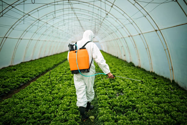 Best Pest Removal Services  in Glendale, AZ