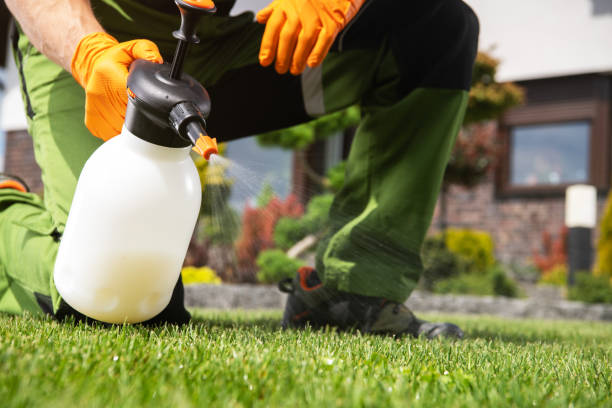 Best Commercial Pest Control Services  in Glendale, AZ