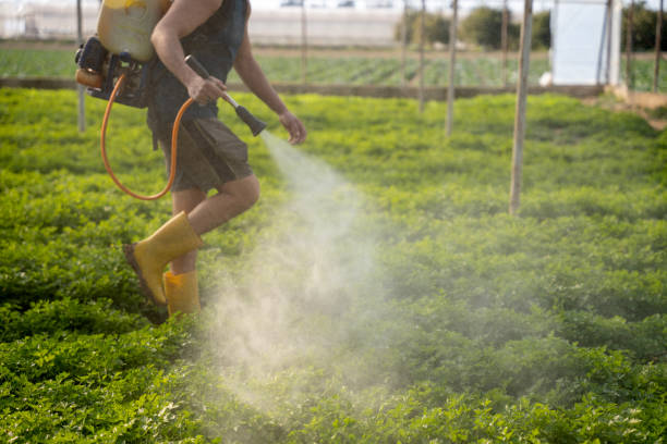 Best Pest Removal Services  in Glendale, AZ