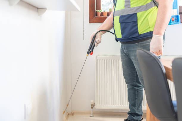 Best Rat Extermination Near Me  in Glendale, AZ