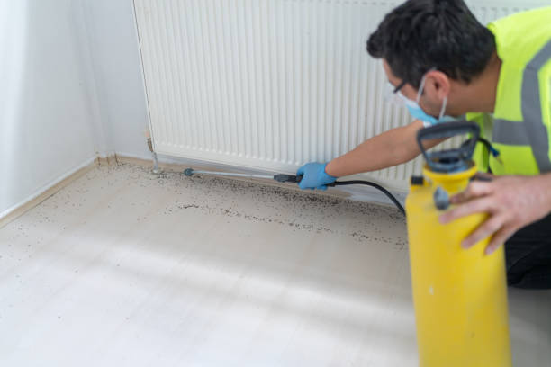 Best Flea Control Services  in Glendale, AZ